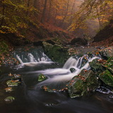Autumn in the Ardennes